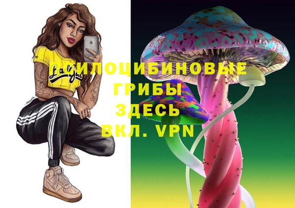 СК Алзамай